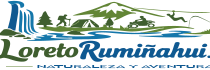 logo final loretorumilahui julio 2026 logo 250 x 70 px
