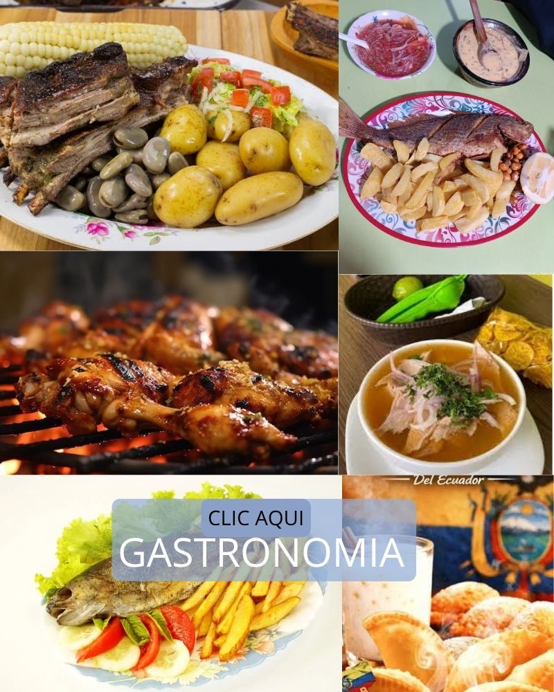 INICIO gastronomia
