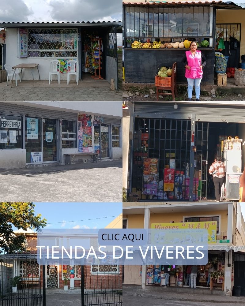 INICIO tiendas de viveres