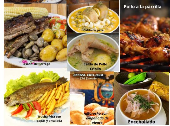 INICIO gastronomia 3 h